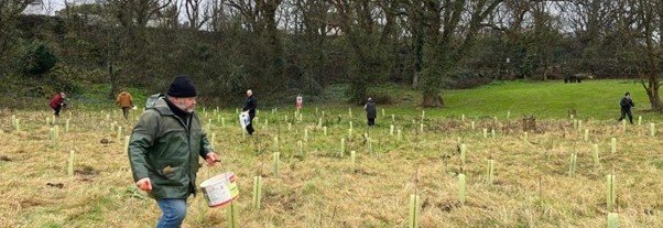 Planting 350 Trees on Inishmore feature image